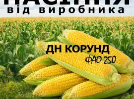 Насіння кукурудзи ДН Корунд / від виробника / ФАО 250