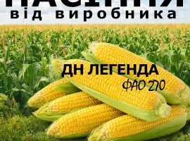 Насіння кукурудзи ДН Легенда / від виробника / ФАО 270