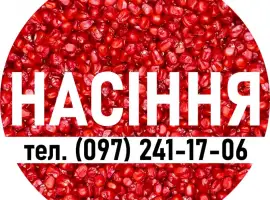 Високоякісне насіння кукурудзи від Виробника! Перекупів багато - Виробник один