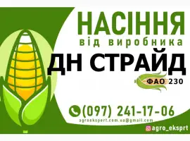 Гібрид кукурудзи ДН Страйд (ФАО 230). Насіння від виробника