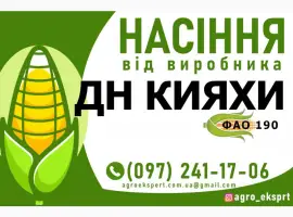 Гібрид кукурудзи ДН Кияхи (ФАО 190). Насіння від виробника