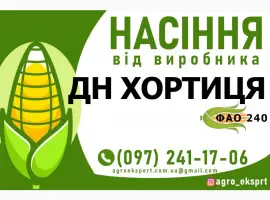 Гібрид кукурудзи ДН Хортиця (ФАО 240). Насіння від виробника