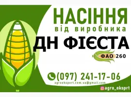 Гібрид кукурудзи ДН Фієста ( ФАО 260). Насіння від виробника
