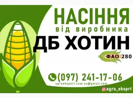 Зображення для оголошення Гібрид кукурудзи ДБ Хотин (ФАО 280). Насіння від виробника
