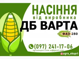 Гібрид кукурудзи ДБ Варта (ФАО 280). Насіння від виробника