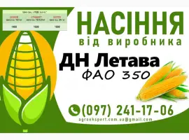 Насіння кукурудзи 2025 - гібрид ДН Летава (ФАО 350) від виробника