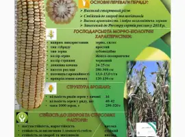 ДН Сармат ФАО 380