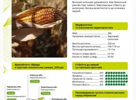 Насіння кукурудзи ГАЛАРДО ФАО 280