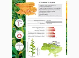 Кукурудза Андрес фао 350