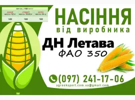Зображення для оголошення ДН Летава (ФАО 350) - Продаж насіння кукурудзи 2025 року