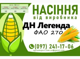 ДН Легенда (ФАО 270) - Продаж насіння кукурудзи 2025 року