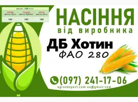 ДБ Хотин (ФАО 2860) - Продаж насіння кукурудзи 2025 року