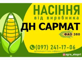 Насіння від виробника - Гібрид кукурудзи ДН Сармат (ФАО 380)