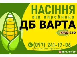 Насіння від виробника - Гібрид кукурудзи ДБ Варта (ФАО 280)