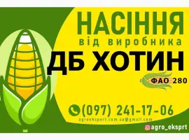 Насіння від виробника - Гібрид кукурудзи ДБ Хотин (ФАО 280)