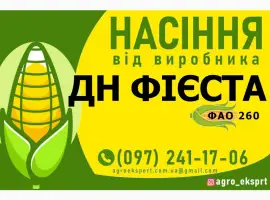 Насіння від виробника - Гібрид кукурудзи ДН Фієста ( ФАО 260)