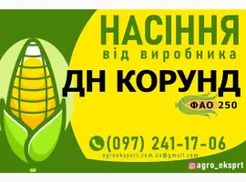 Насіння від виробника - Гібрид кукурудзи ДН Корунд (ФАО 250)