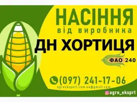 Насіння від виробника - Гібрид кукурудзи ДН Хортиця (ФАО 240)