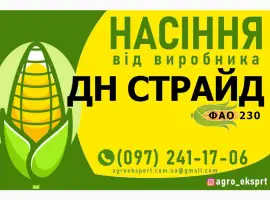 Насіння від виробника - Гібрид кукурудзи ДН Страйд (ФАО 230)