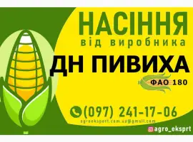 Насіння від виробника - Гібрид кукурудзи ДН Пивиха (ФАО 180)