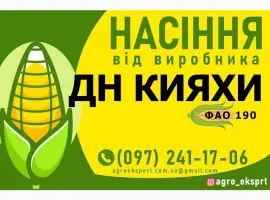 Насіння від виробника - Гібрид кукурудзи ДН Кияхи (ФАО 190)