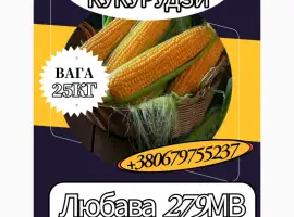 Насіння кормової Кукурудзи Любава 279МВ ( 25 кг)