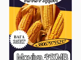 Насіння кормової Кукурудзи Моніка 350МВ ( 25 кг)