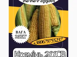 Насіння кормової Кукурудзи Кремінь 200СВ ( 25 кг)