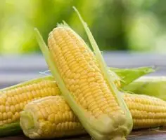 Компанія на постійній основі закупляє