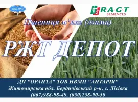 Зображення для оголошення Насіння озимої пшениці РЖТ ДЕПОТ (СН