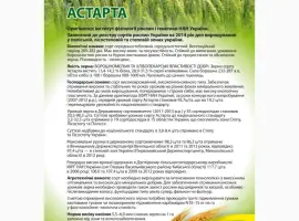 Зображення для оголошення Насіння озимої пшениці Астарта (еліта) від виробника