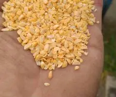 Зображення для оголошення Горох сечка, горох колотый, отходы гороха