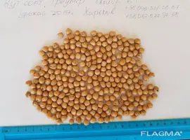 Зображення для оголошення Нут калібр 6мм продам