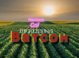 Зображення для оголошення Насіння сої під раундап
