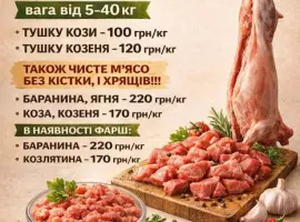 Зображення для оголошення Барани, баранина, ягнятина, козлятина ,тушки