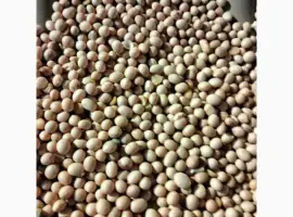 Зображення для оголошення Продам соя