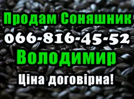 Зображення для оголошення Продам соняшник!На постійній основі