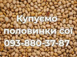 Зображення для оголошення Купуємо половинки сої з господарств України