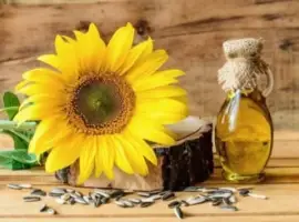 Зображення для оголошення Продам Соняшник