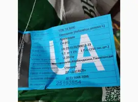 Зображення для оголошення Продам насіння соняшнику ВНІС : фракц.станд Армагедон
