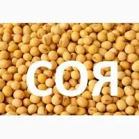 Зображення для оголошення Купимо Сою.Можливий самовивіз по всій Україні