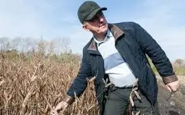 Зображення для оголошення Агрозакупка Сою.гмо та без.по 1Ф по всій Україні
