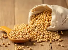 Зображення для оголошення Куплю сою з ПДВ