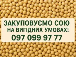 Зображення для оголошення Закупівля сої на постійній основі з самовивозом