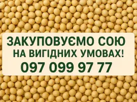 Зображення для оголошення Закуповуємо сою на вигідних умовах