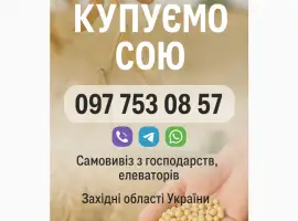 Зображення для оголошення Закуповуємо сою