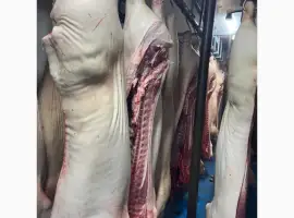 Зображення для оголошення Полутуши