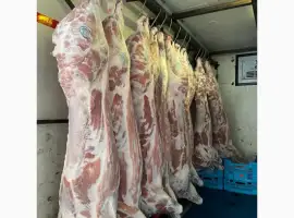 Зображення для оголошення Свиные полутуши