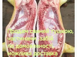 Зображення для оголошення Продам домашню свиннину
