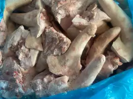Зображення для оголошення Продам хвіст свиний